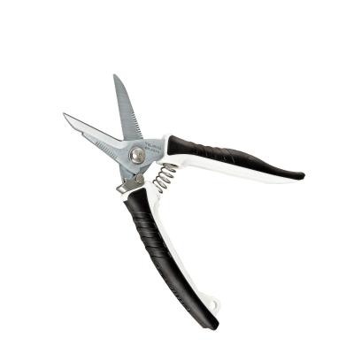 Related Product