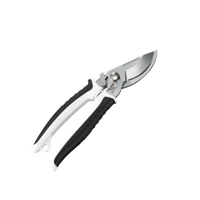 Related Product